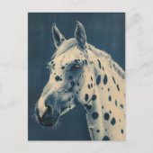 Appaloosa cyanotype postkarte (Vorderseite)
