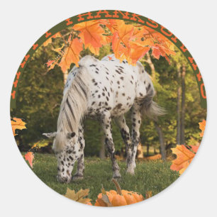 Appaloosa-Erntedank Runder Aufkleber