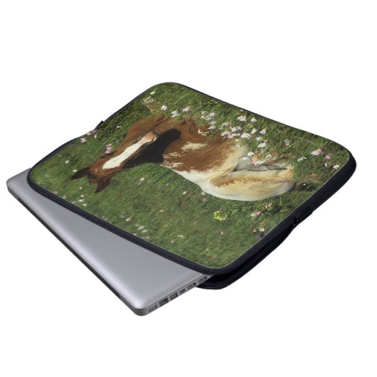 Appaloosa-Fohlen, das in den Blumen niederlegt Laptopschutzhülle (Vorne Knopf)
