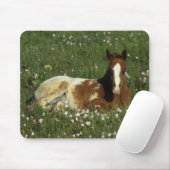 Appaloosa-Fohlen, das in den Blumen niederlegt Mousepad (Mit Mouse)