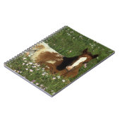 Appaloosa-Fohlen, das in den Blumen niederlegt Notizblock (Linke Seite)