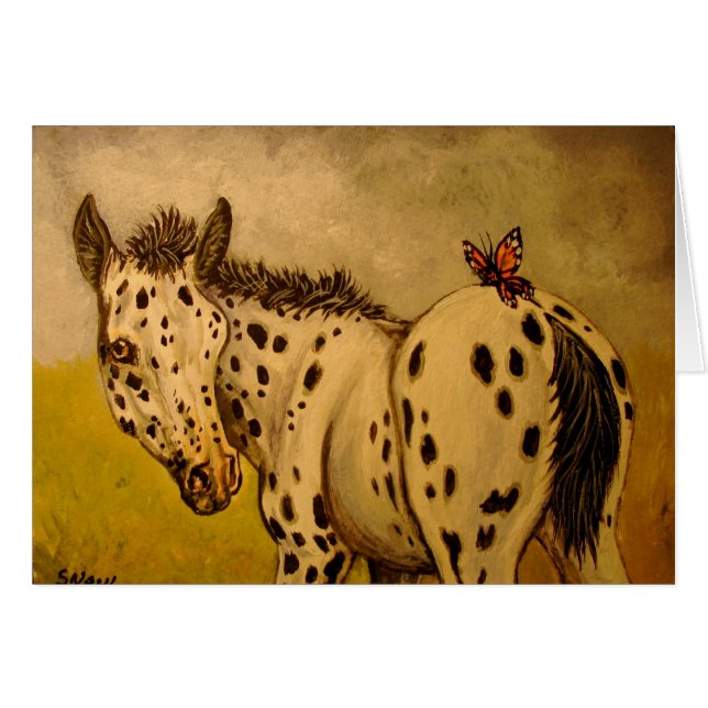 Appaloosa-Fohlen u. Schmetterling (Vorderseite (Horizontal))