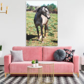 Appaloosa-Foto Leinwanddruck (Insitu (Wohnzimmer))