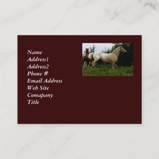 Appaloosa Horse Business Card Visitenkarte (Vorderseite)