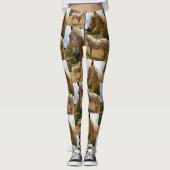 Appaloosa Horse Collage, Ladys Full Print Legende Leggings (Vorderseite)