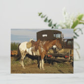 Appaloosa Horse Einladungskarten (Stehend Vorderseite)