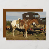 Appaloosa Horse Einladungskarten (Vorne/Hinten)