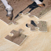 Appaloosa Horse Foal Running Puzzle (Seite)