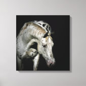 Appaloosa Horse Foto Leinwanddruck (Vorderseite)