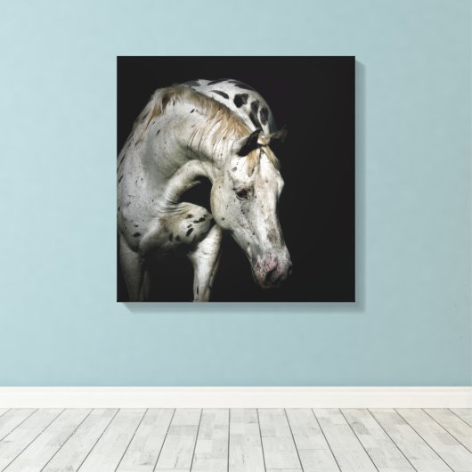 Appaloosa Horse Foto Leinwanddruck (Insitu (Holzboden))