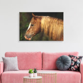 Appaloosa Horse Headshot 1 Leinwanddruck (Insitu (Wohnzimmer))
