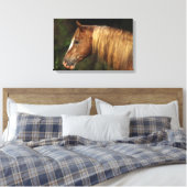 Appaloosa Horse Headshot 1 Leinwanddruck (Insitu (Schlafzimmer))