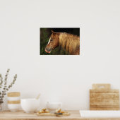 Appaloosa Horse Headshot 1 Poster (Küche)