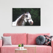 Appaloosa Horse Headshot 2 Leinwanddruck (Insitu (Wohnzimmer))