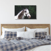 Appaloosa Horse Headshot 2 Leinwanddruck (Insitu (Schlafzimmer))