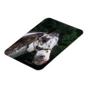 Appaloosa Horse Headshot 2 Magnet (Linke Seite)