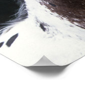 Appaloosa Horse Headshot 2 Poster (Ecke)