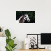 Appaloosa Horse Headshot 2 Poster (Heimbüro)
