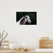 Appaloosa Horse Headshot 2 Poster (Küche)