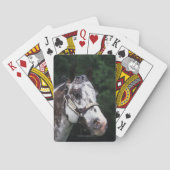 Appaloosa Horse Headshot 2 Spielkarten (Rückseite)