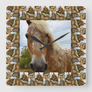 Appaloosa Horse In Appaloosa Horse Photo Frame, Quadratische Wanduhr
