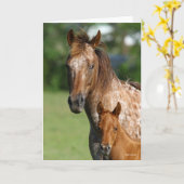 Appaloosa Horse Mare and Foal Headshot Karte (Gelbe Blume)