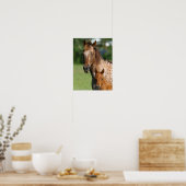 Appaloosa Horse Mare and Foal Headshot Poster (Küche)
