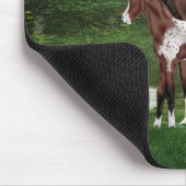 Appaloosa Horse Mare and Foal Mousepad (Ecke)