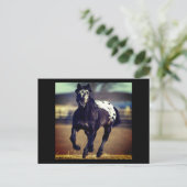 Appaloosa Horse Postkarte (Stehend Vorderseite)