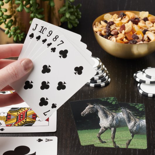 Appaloosa Horse Running 2 Spielkarten (In Situ)
