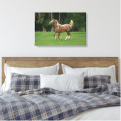 Appaloosa Horse Running Leinwanddruck (Insitu (Schlafzimmer))