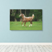 Appaloosa Horse Running Leinwanddruck (Insitu (Holzboden))