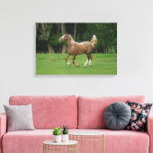 Appaloosa Horse Running Leinwanddruck (Insitu (Wohnzimmer))