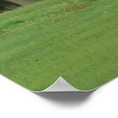 Appaloosa Horse Running Poster (Ecke)