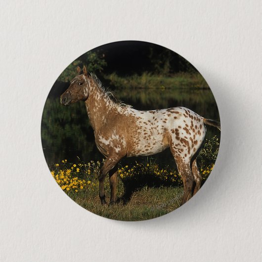 Appaloosa-Horsebereitstehender See Button (Vorderseite)