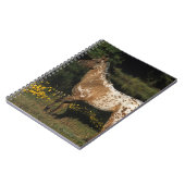 Appaloosa-Horsebereitstehender See Notizblock (Linke Seite)