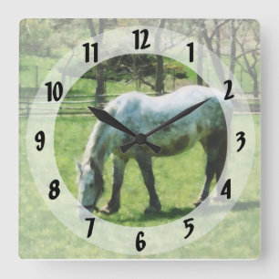Appaloosa in Pasture Quadratische Wanduhr