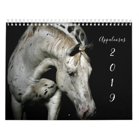Appaloosa Kalender (Titelbild)