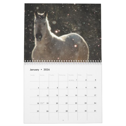 Appaloosa Kalender (Jan 2026)