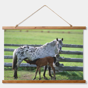 Appaloosa Mare and Colt Horse Wandteppich Mit Holzrahmen