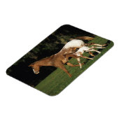 Appaloosa Mare and Foal Magnet (Linke Seite)