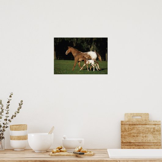 Appaloosa Mare and Foal Poster (Küche)