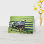 Appaloosa Mare und Colt Horse Karte (Gelbe Blume)