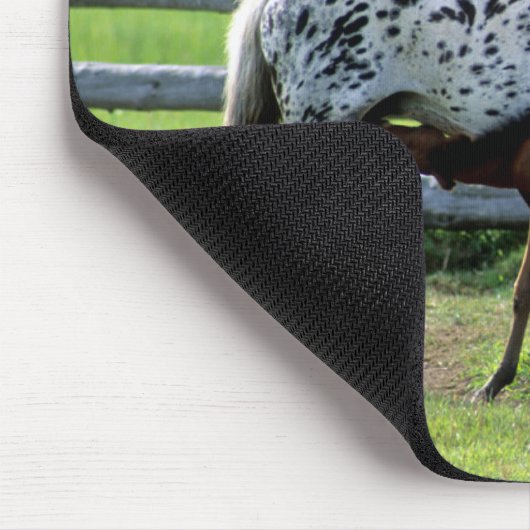 Appaloosa Mare und Colt Horse Mousepad (Ecke)