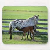 Appaloosa Mare und Colt Horse Mousepad (Vorne)