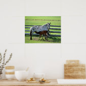 Appaloosa Mare und Colt Horse Poster (Küche)