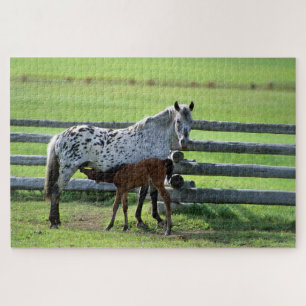 Appaloosa Mare und Colt Horse Puzzle