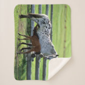 Appaloosa Mare und Colt Horse Sherpadecke (Vorderseite)