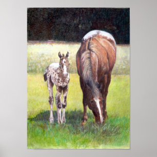 Appaloosa Mare und Foal Portrait Poster
