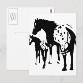 Appaloosa Mare und Foal Postkarte (Vorne/Hinten)